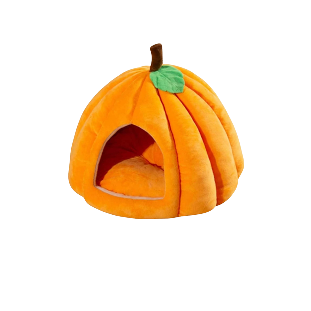 Dachshund Halloween Pumpkin Bed