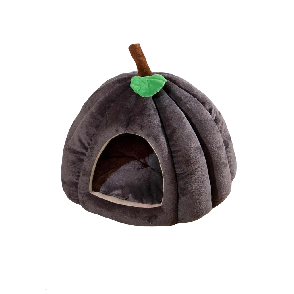 Dachshund Halloween Pumpkin Bed