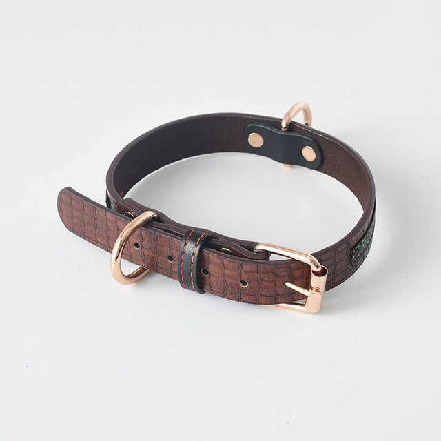 Coffee Pattern Leather Dachshund Dog Collar