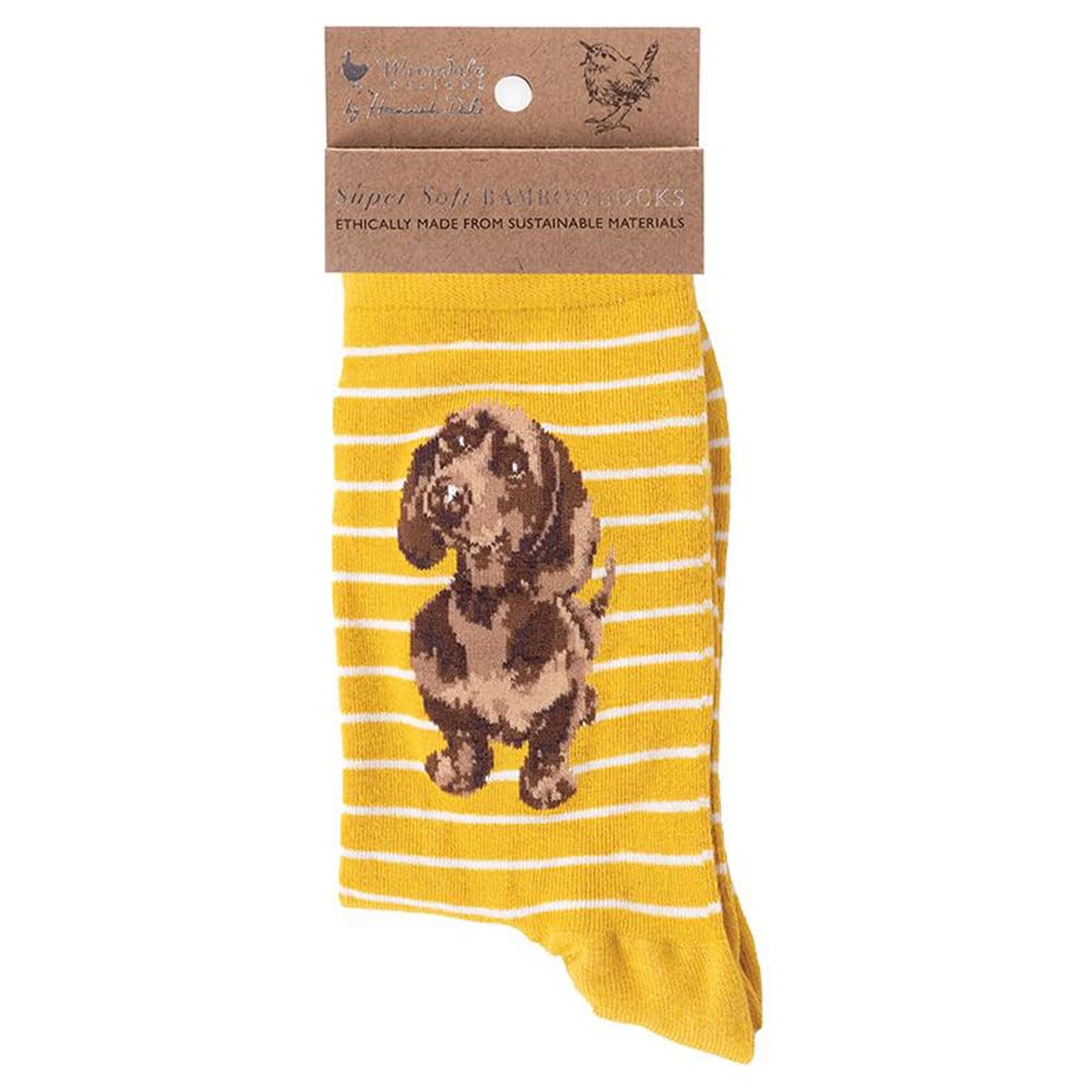 Dachshund Socks - Wrendale Designs