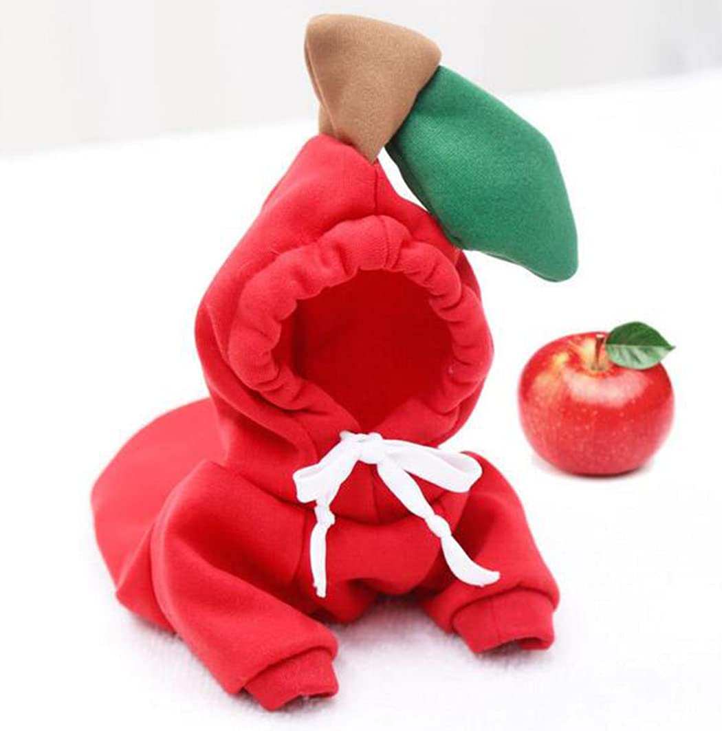 Novelty Tomato Dachshund Dog Hoodie