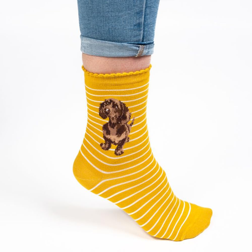 Dachshund Socks - Wrendale Designs