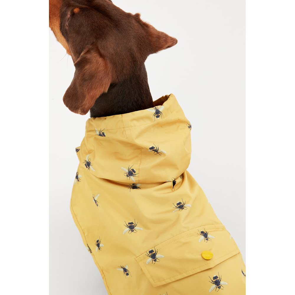Dachshund Yellow Lightweight Bumblebee Print Raincoat Jacket