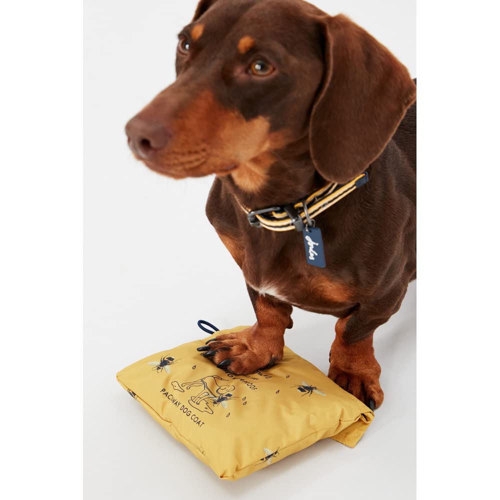 Dachshund Yellow Lightweight Bumblebee Print Raincoat Jacket