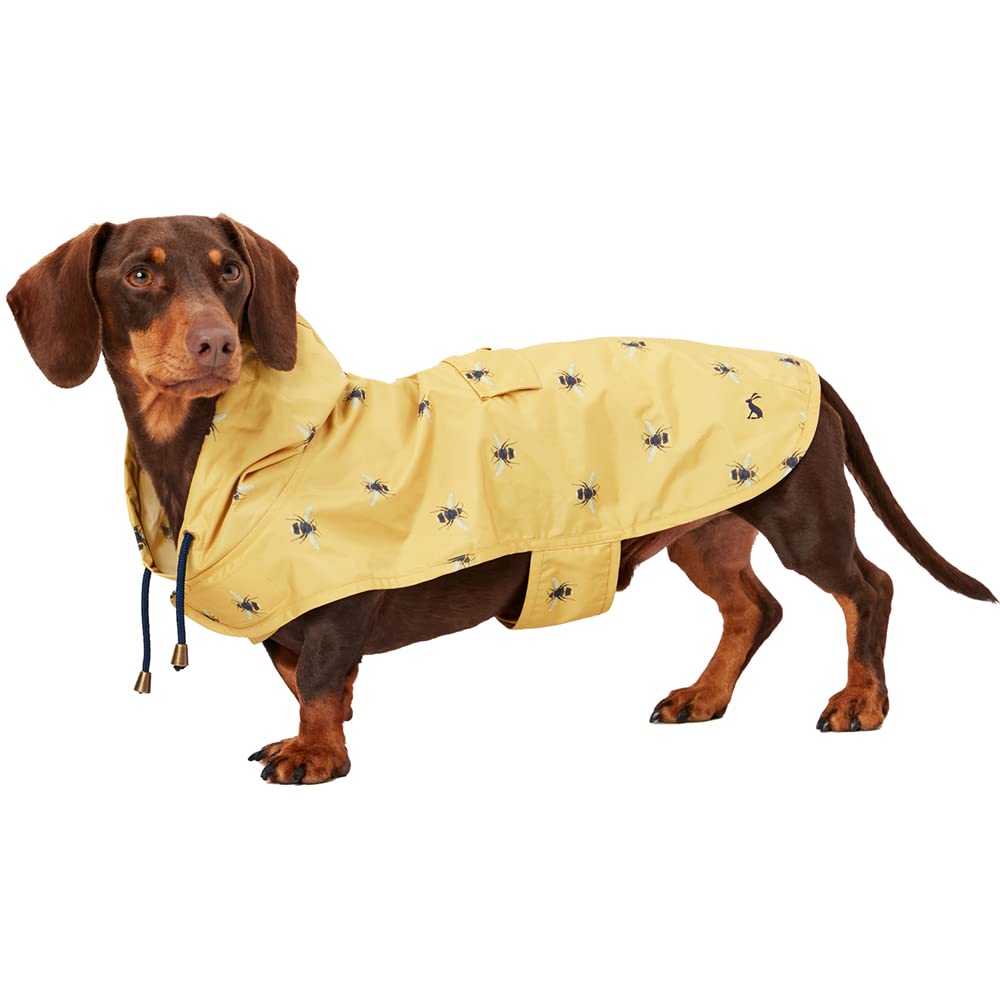Dachshund Yellow Lightweight Bumblebee Print Raincoat Jacket
