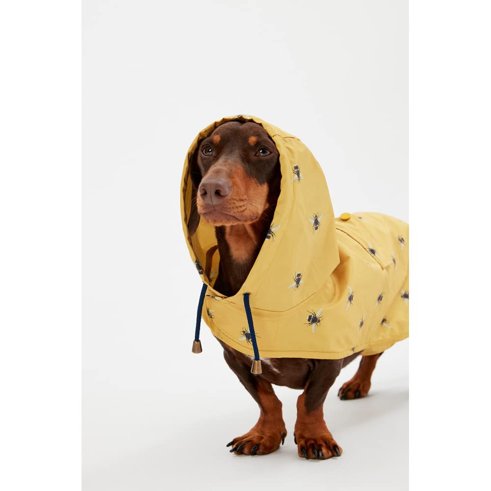 Dachshund Yellow Lightweight Bumblebee Print Raincoat Jacket
