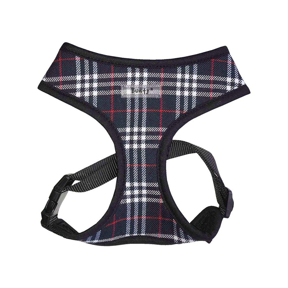 Buchanan Fire - Dachshund Dog Harness