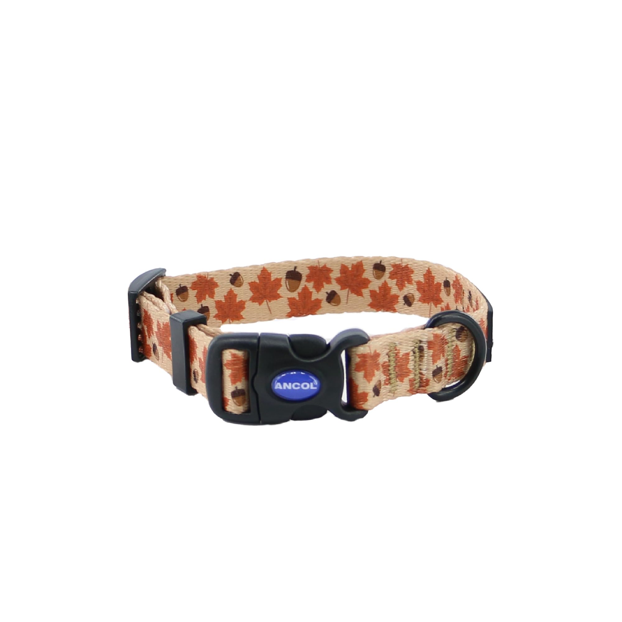Autumn Maple Leaf Dachshund Collar