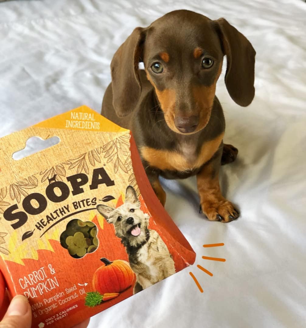 Soopa Halloween Pumpkin and Carrot Healthy Bites Dachshund Treat, 50 g