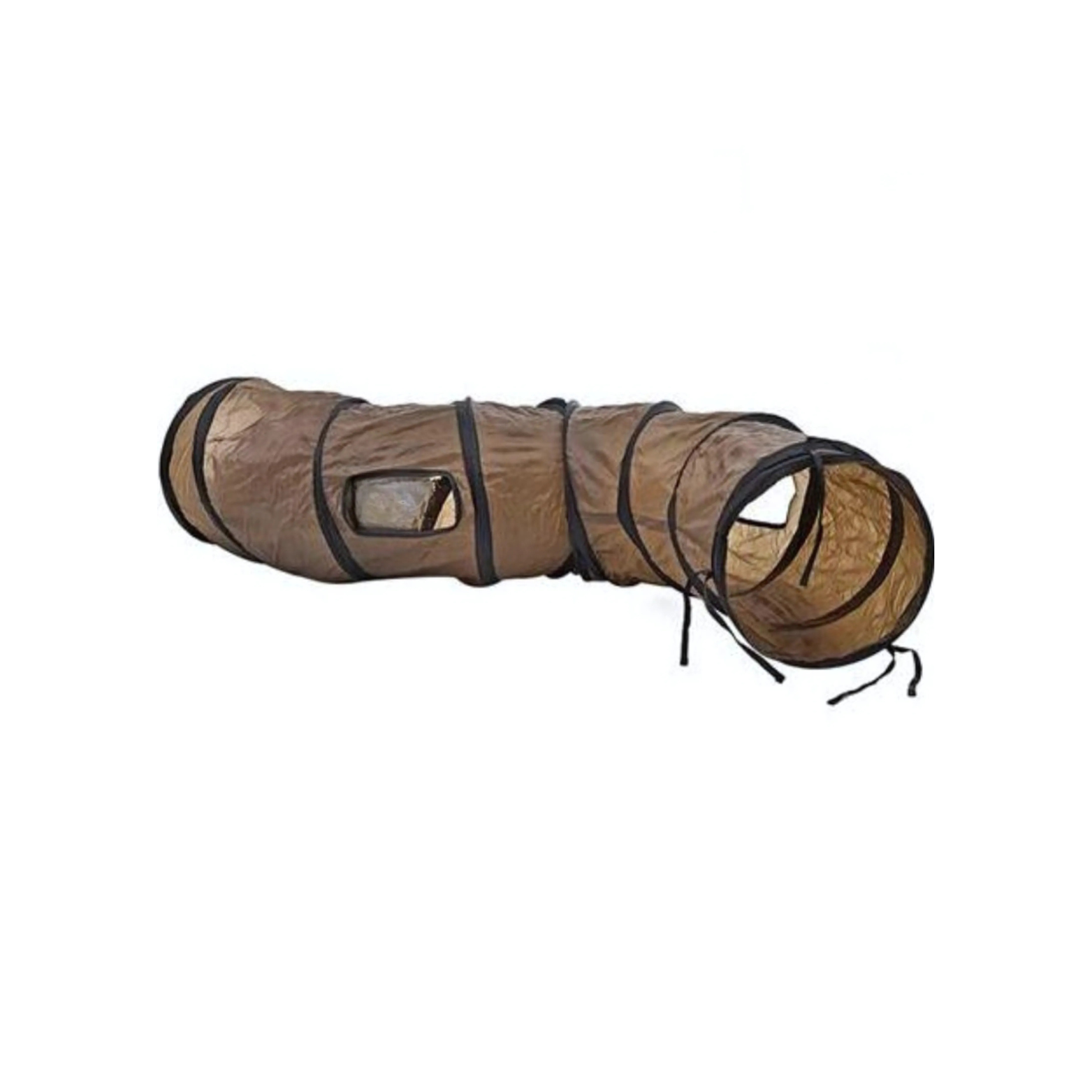 Dachshund Fun Tunnel