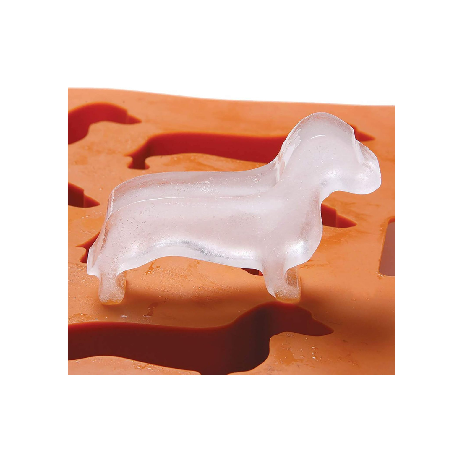 Clear ice dachshund mold on a plastic ice cube mold
