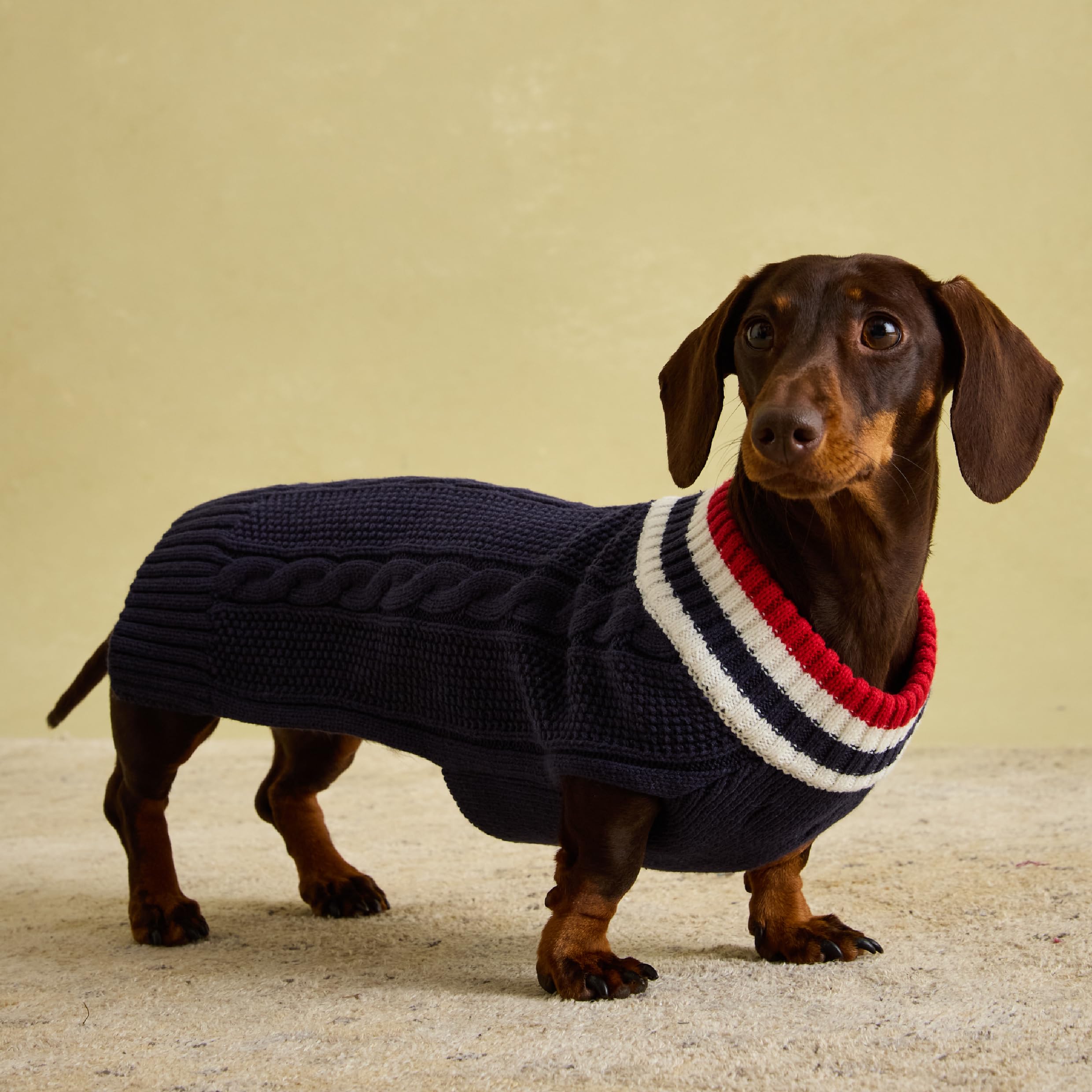 Navy, White & Red Knit Dachshund Jumper