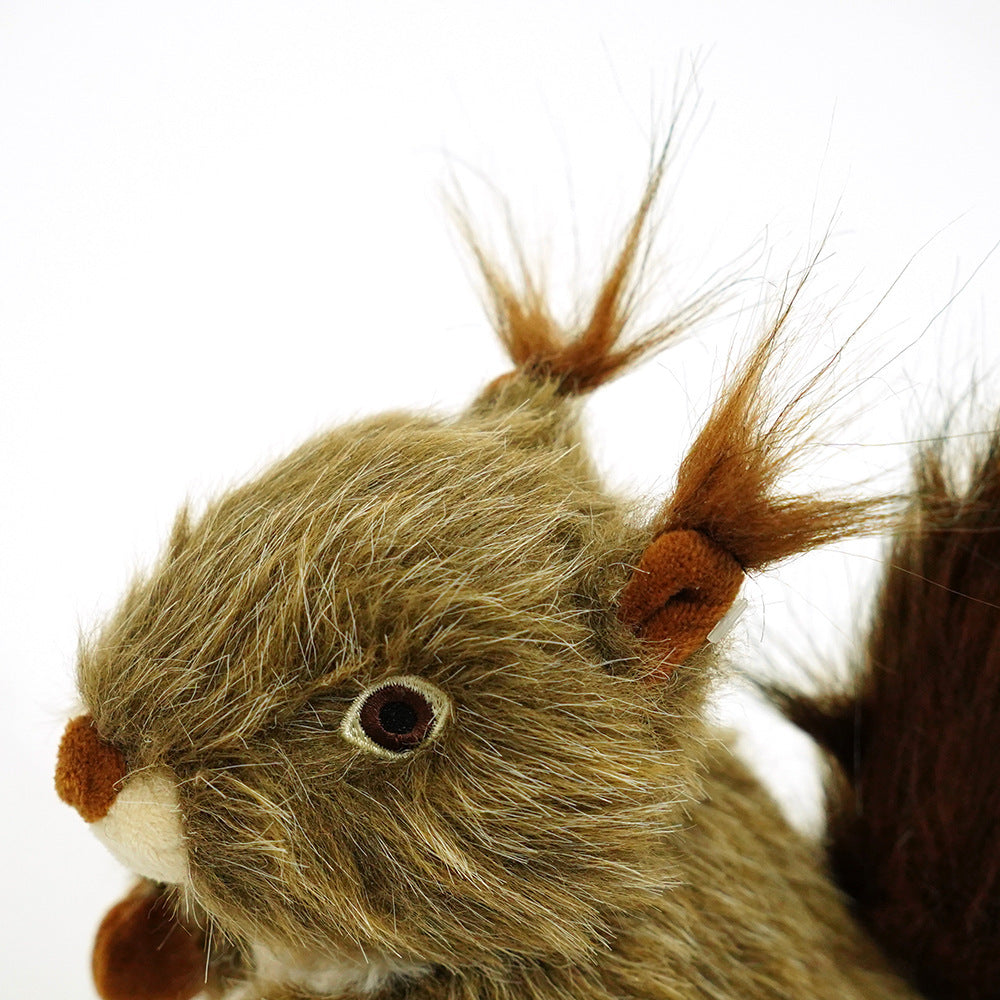 Cartoon Squirrel Plush Squeaky Toy – Interactive Chew Toy for Dachshunds