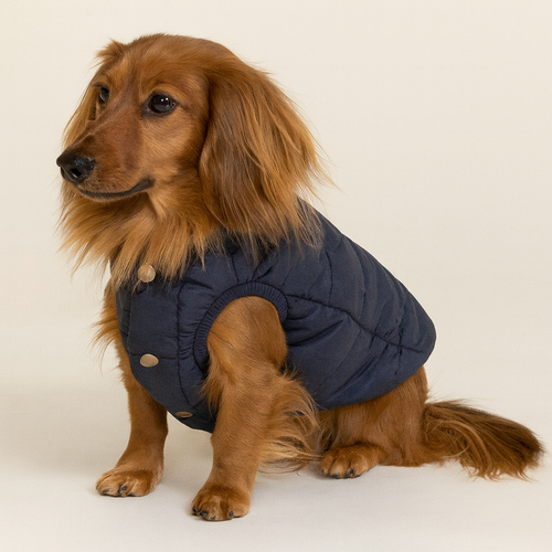 2 Layers Fleece Lined Warm Winter Dachshund Jacket