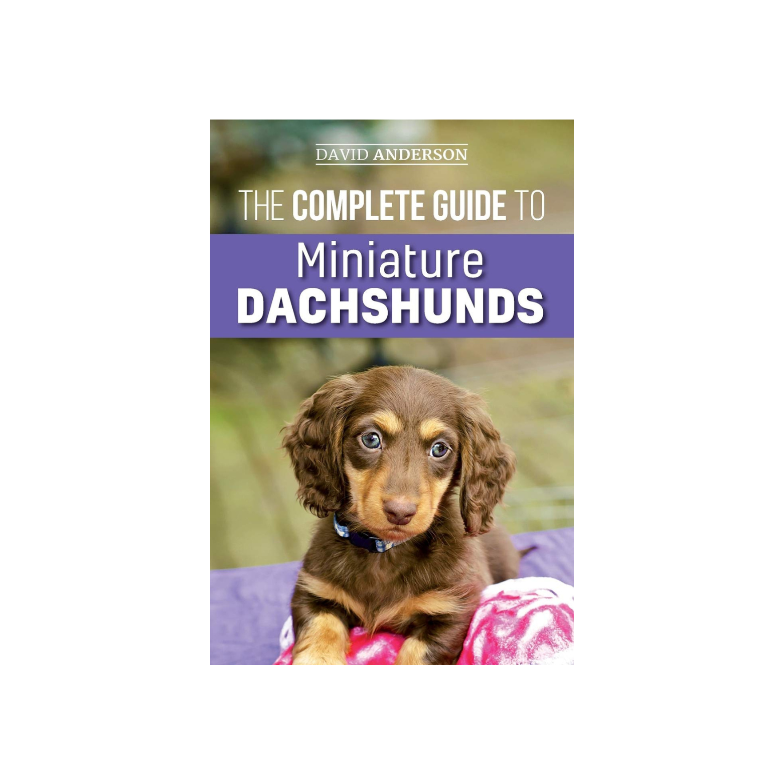 The Complete Guide to Miniature Dachshunds: A step-by-step guide to successfully raising your new Miniature Dachshund