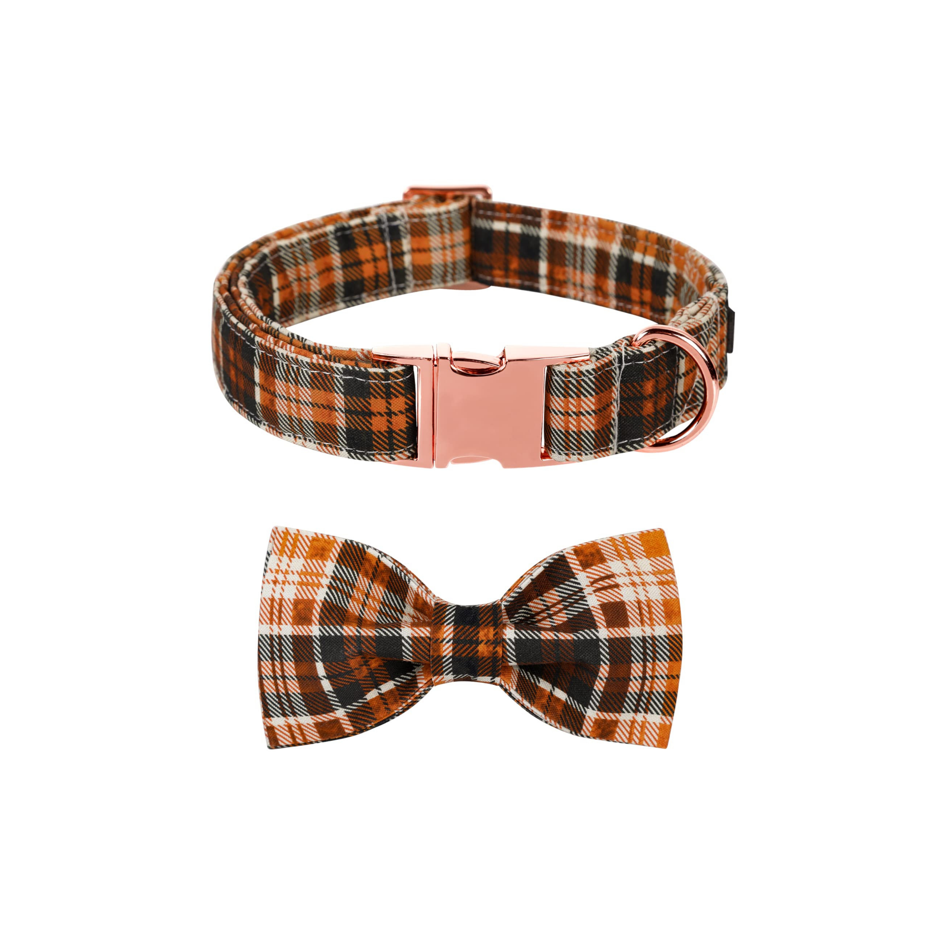 October Falls Tartan Autumn Dachshund Collar