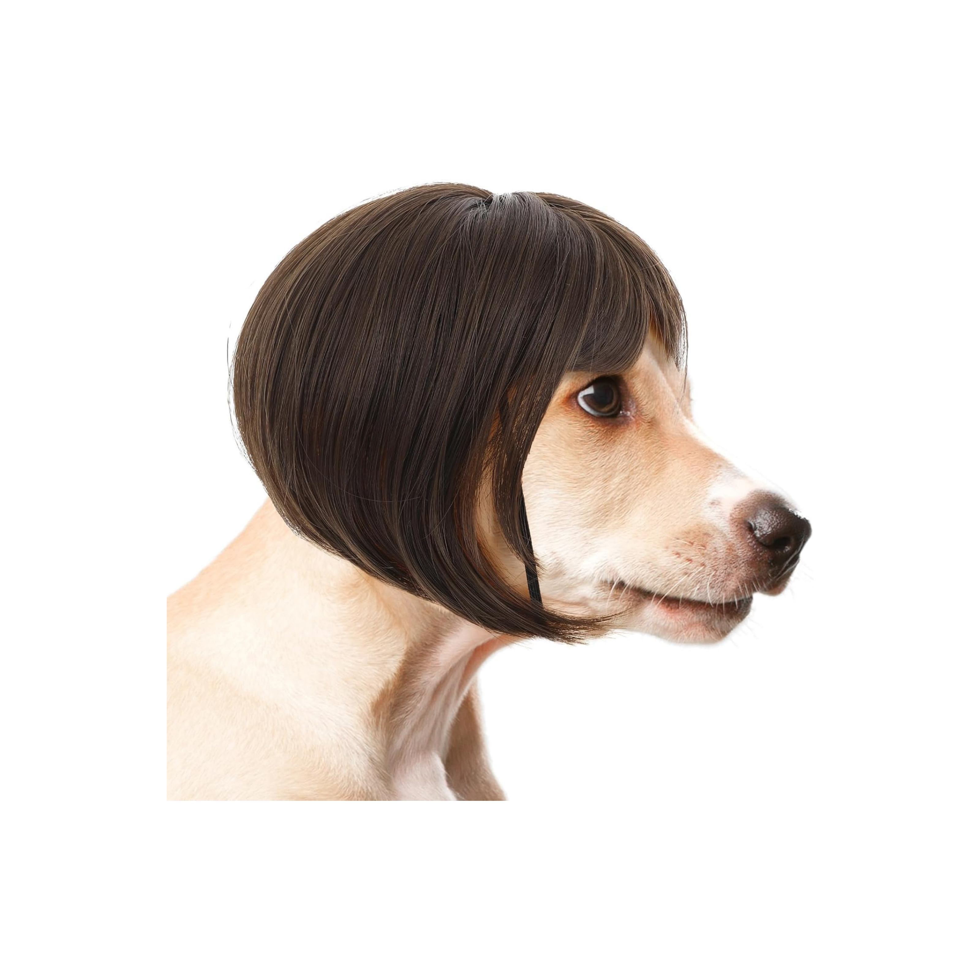 Dachshund Halloween Brown Bob Hair Wig