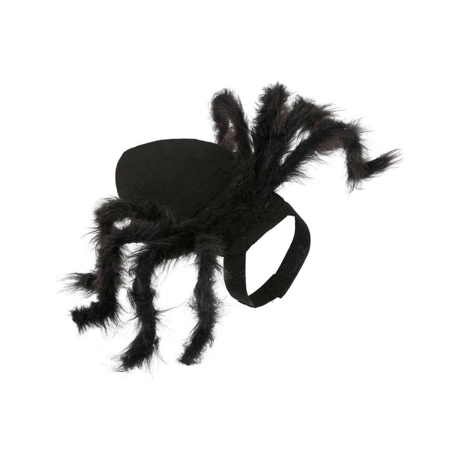 Spider Dachshund Costume