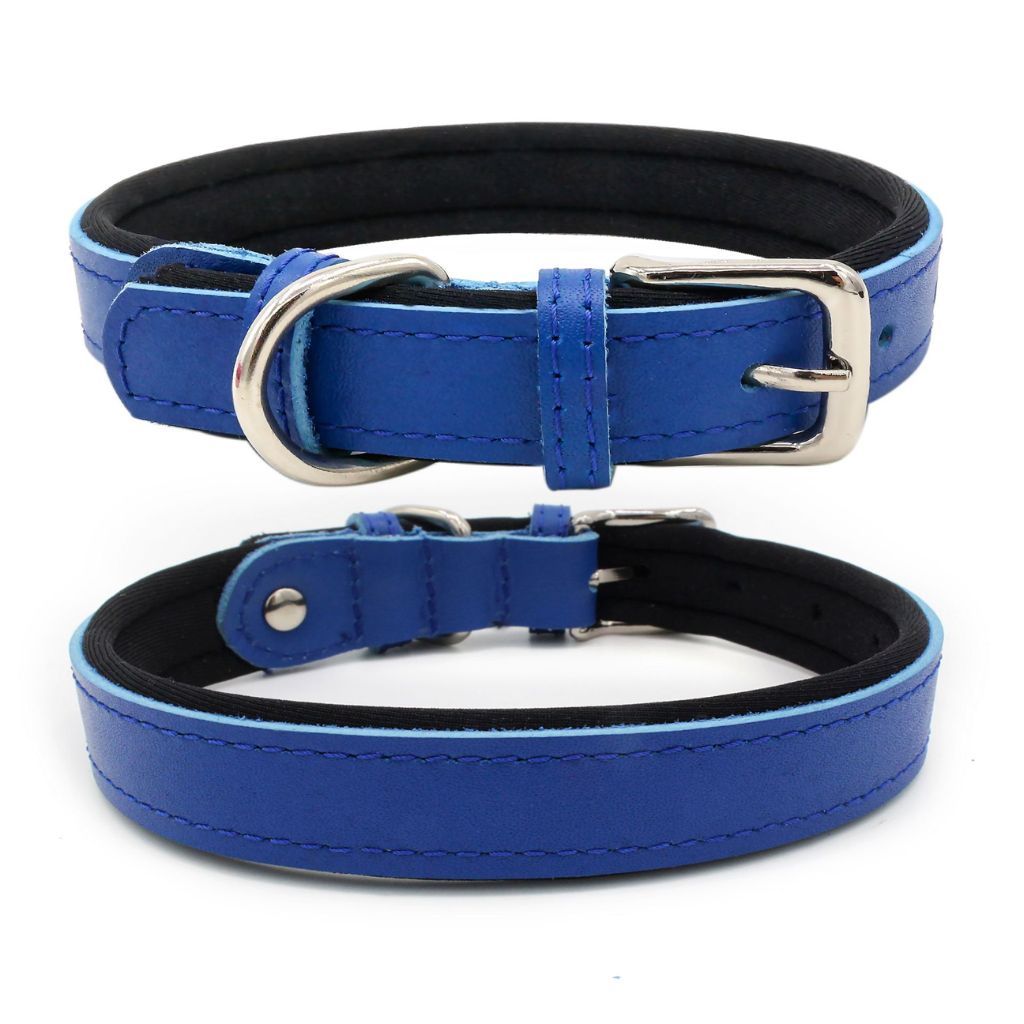 Royal Blue Dog Collar - by Doggy Doo Little-0
