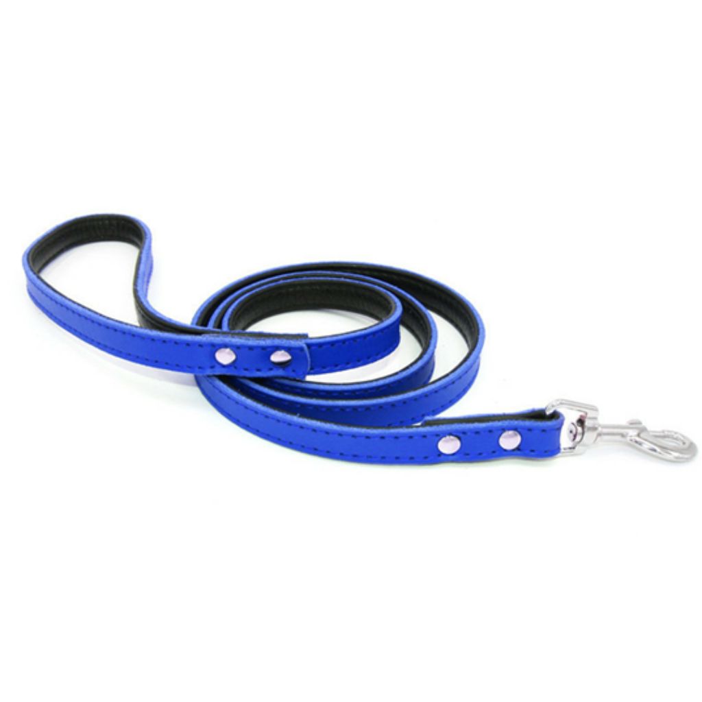 Royal Blue Dog Leash-0