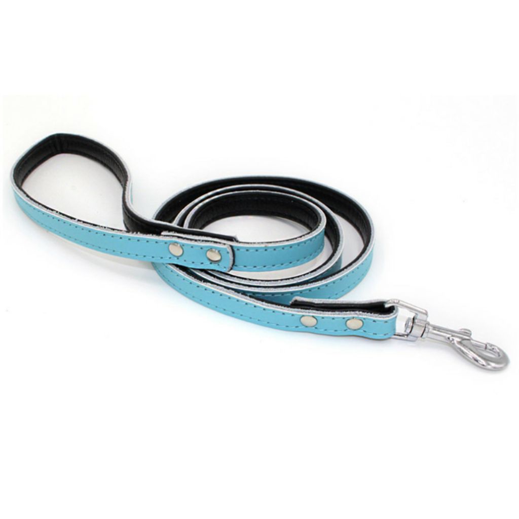 Aqua Dog Leash-0