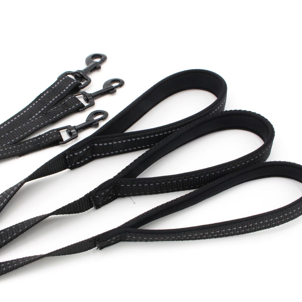 Red Arrow Dog Leash - by Doggy Doo Little-2